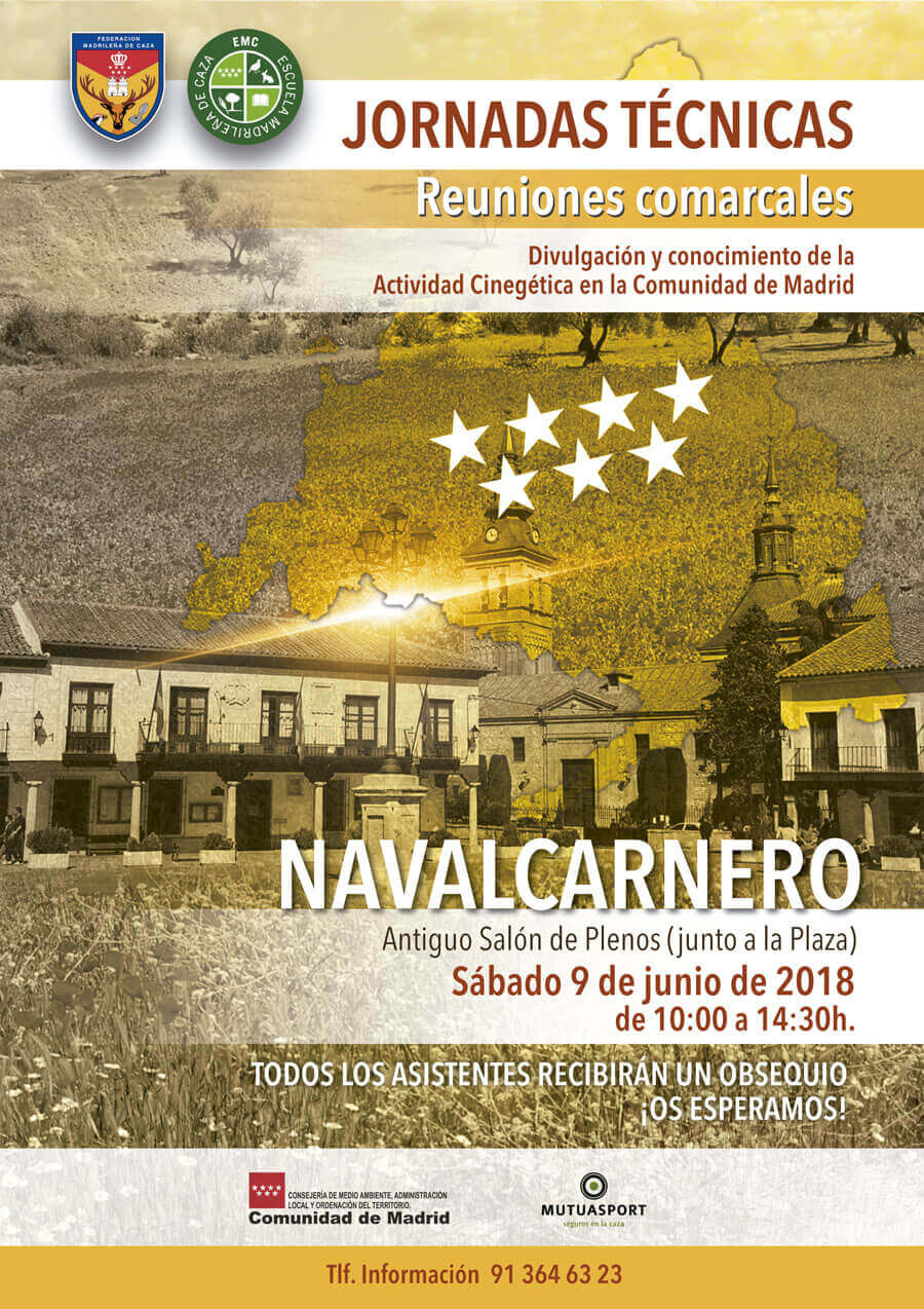 Jornadas comarcales - Navalcarnero junio 2018