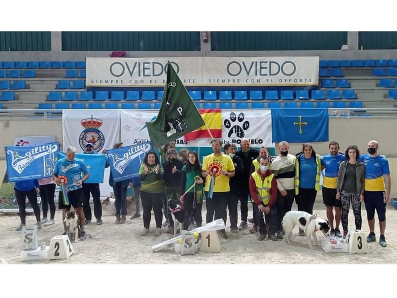 El VII Campeonato de España de Agility reúne a más de 300 perros en Oviedo
