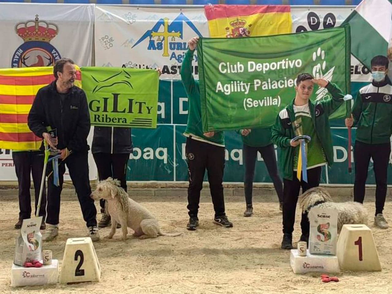 El VII Campeonato de España de Agility reúne a más de 300 perros en Oviedo